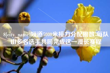 玉溪短道5000米接力分配圈数-每队由多名选手共同完成这一漫长赛程