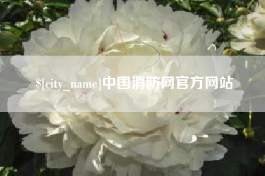 玉溪中国消防网官方网站