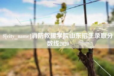 玉溪消防救援学院山东招生录取分数线2020