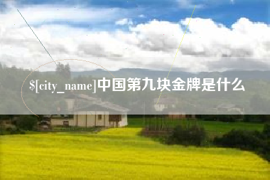 玉溪中国第九块金牌是什么