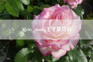 玉溪王子豪百科