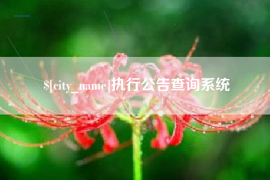 玉溪执行公告查询系统