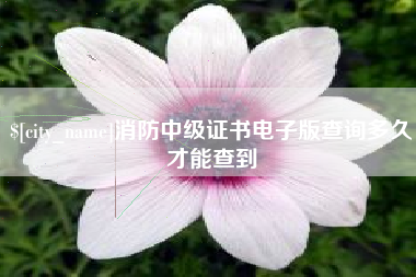 玉溪消防中级证书电子版查询多久才能查到