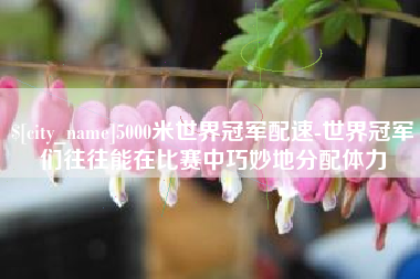 玉溪5000米世界冠军配速-世界冠军们往往能在比赛中巧妙地分配体力