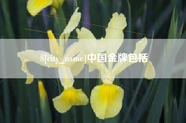 玉溪中国金牌包括