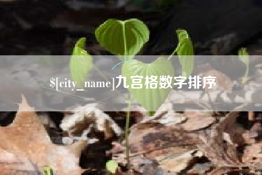 玉溪九宫格数字排序