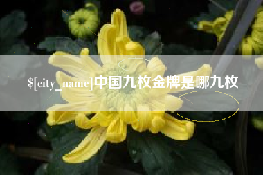 玉溪中国九枚金牌是哪九枚