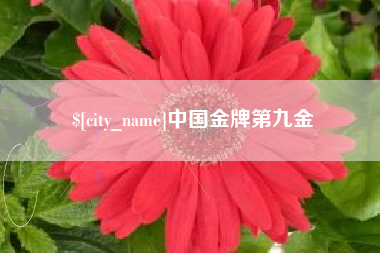 玉溪中国金牌第九金