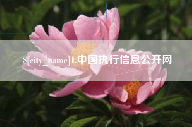 玉溪1.中国执行信息公开网