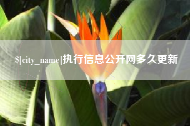 玉溪执行信息公开网多久更新