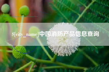 玉溪中国消防产品信息查询