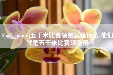 玉溪五千米比赛领跑员是什么-他们就是五千米比赛领跑员