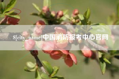 玉溪中国消防报考中心官网