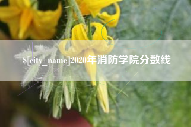 玉溪2020年消防学院分数线