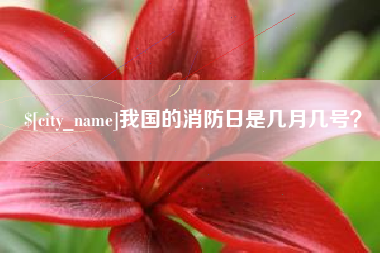 玉溪我国的消防日是几月几号？