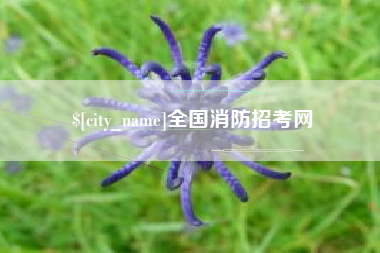玉溪全国消防招考网