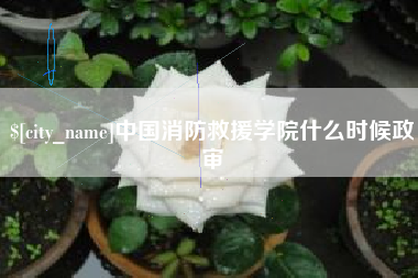 玉溪中国消防救援学院什么时候政审
