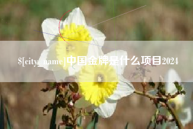 玉溪中国金牌是什么项目2024