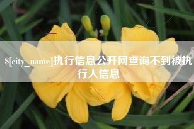 玉溪执行信息公开网查询不到被执行人信息