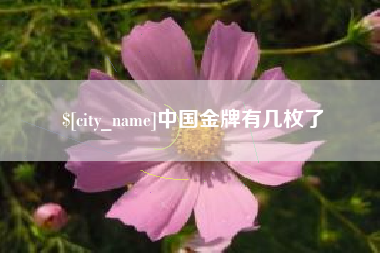 玉溪中国金牌有几枚了
