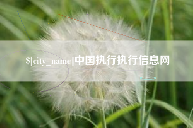 玉溪中国执行执行信息网