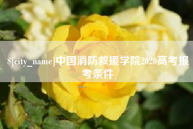 玉溪中国消防救援学院2020高考报考条件