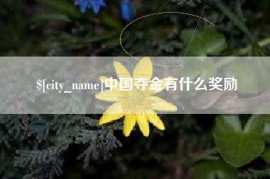 玉溪中国夺金有什么奖励