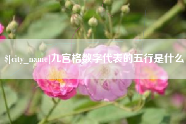 玉溪九宫格数字代表的五行是什么
