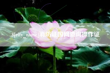 玉溪消防证国网查询操作证