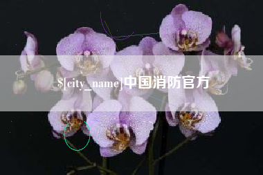 玉溪中国消防官方
