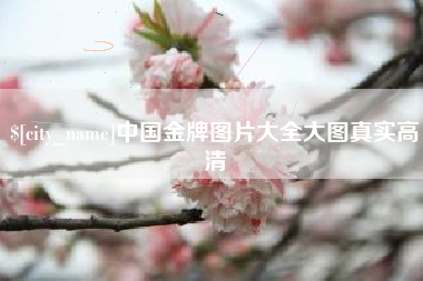 玉溪中国金牌图片大全大图真实高清