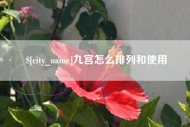 玉溪九宫怎么排列和使用