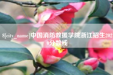 玉溪中国消防救援学院浙江招生2020分数线