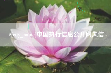 玉溪中国执行信息公开网失信