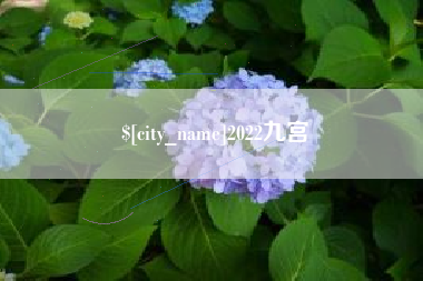玉溪2022九宫