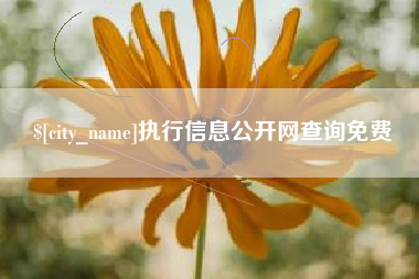 玉溪执行信息公开网查询免费